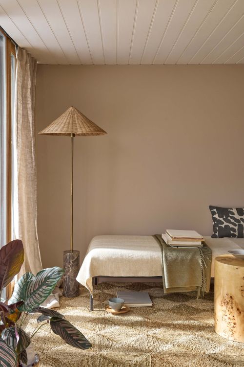 Detailaufnahme einer Wand mit Absolute Matt Eco-Update, samtige Oberfläche mit tiefmattem Glanzgrad.
